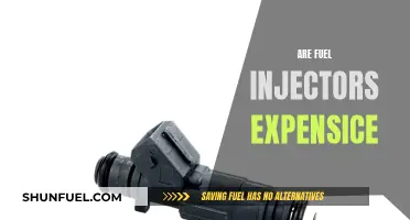 Fuel Injectors: Costly Maintenance or Affordable Fix?