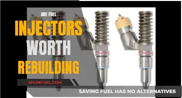Fuel Injector Rebuilding: Worth the Cost and Effort?