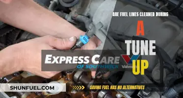 Fuel Line Cleaning: A Necessary Tune-Up Procedure?