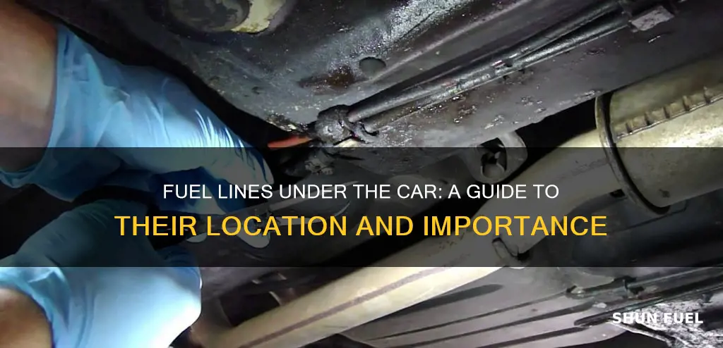 are fuel lines near wheels under car