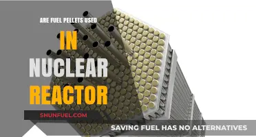 Are Fuel Pellets the Key to Nuclear Reactor Efficiency?