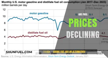 Are Fuel Prices Declining? Analyzing Recent Trends and Future Outlook