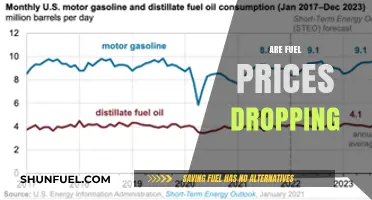 Are Fuel Prices Dropping? Analyzing Recent Trends and Future Outlook