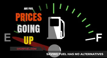 Rising Fuel Prices: Causes, Impact, and Future Trends Explained