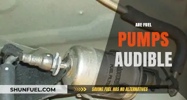 Can You Hear Fuel Pumps? Exploring Their Audible Presence in Vehicles