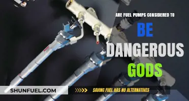 Are Fuel Pumps Dangerous Gods? Unraveling the Myth and Reality