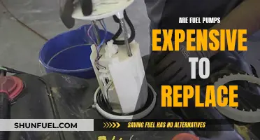 Fuel Pump Replacement: Costly Repair or Simple Fix?