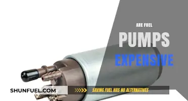 Are Fuel Pumps Expensive? Cost Insights and Budget Tips