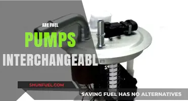 Can You Swap Fuel Pumps? Compatibility and Interchangeability Explained
