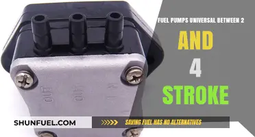 Are Fuel Pumps Interchangeable Between 2-Stroke and 4-Stroke Engines?