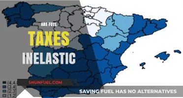 Do Fuel Taxes Resist Change? Exploring the Inelasticity Debate