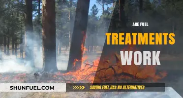 Do Fuel Treatments Really Work? Uncovering the Truth and Myths