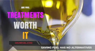 Fuel Treatments: Cost-Effective Solution or Waste of Money?