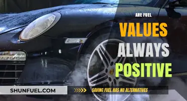 Are Fuel Values Always Positive? Exploring the Pros and Cons