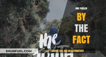 Driven by Truth: Uncovering the Power Behind 'Are Fueled by the Fact
