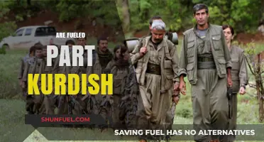 Are Kurdish Forces Partially Fueled by Regional Geopolitical Tensions?
