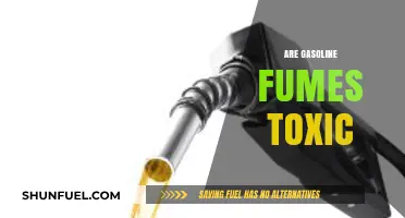 The Hidden Dangers of Gasoline Fumes: A Toxic Reality Check