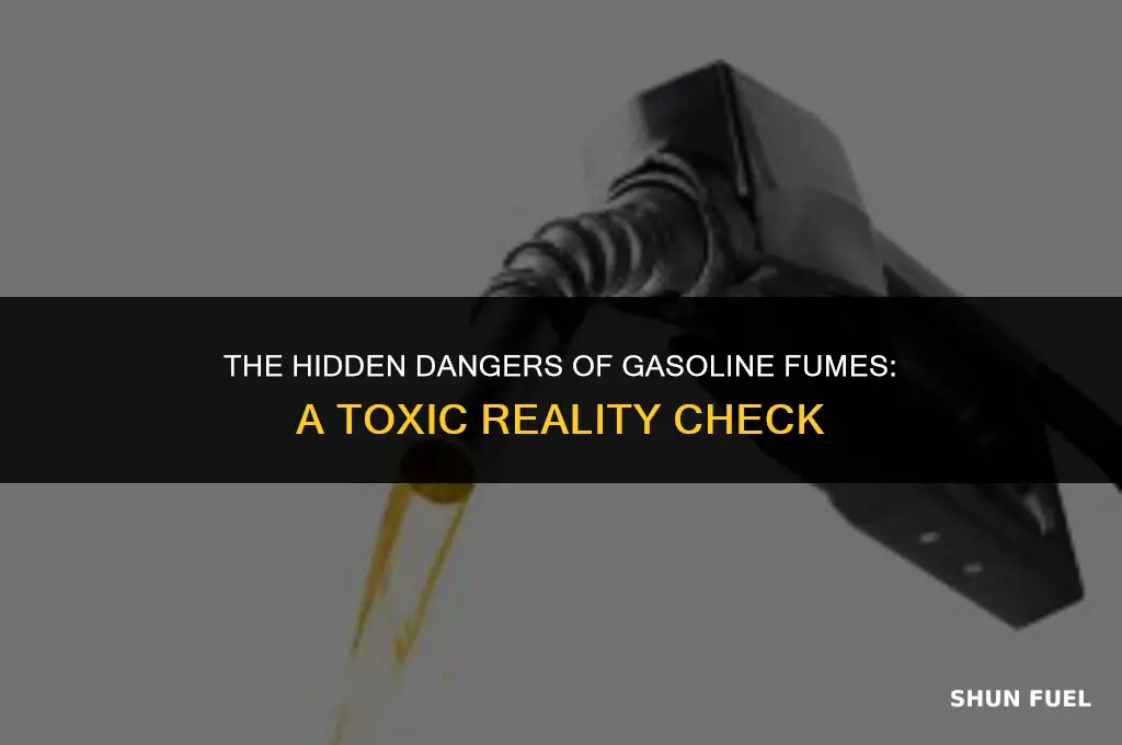 are gasoline fumes toxic