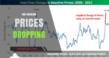 Are Gasoline Prices Dropping? Analyzing Recent Trends and Future Predictions
