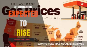 Will Gasoline Prices Surge? Experts Weigh In on Future Trends