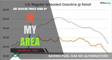 Exploring the Surge: Are Gasoline Prices Rising in Your Neighborhood?