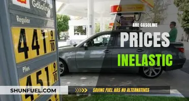 Exploring the Inelasticity of Gasoline Prices: A Comprehensive Analysis