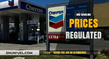 Exploring the Factors Behind Gasoline Price Regulation