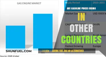 Global Gasoline Prices: A Comparative Analysis of Recent Trends