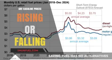 Exploring the Trend: Are Gasoline Prices Rising or Falling?