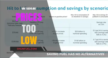 Are Gasoline Prices Too Low? An In-Depth Analysis