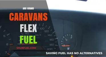Are Grand Caravans Flex Fuel? Exploring Fuel Options for Your Van