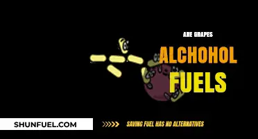 Grapes to Alcohol: Unveiling the Fermentation Fuel Connection