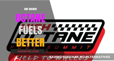 Higher Octane Fuels: Performance Benefits or Unnecessary Expense?