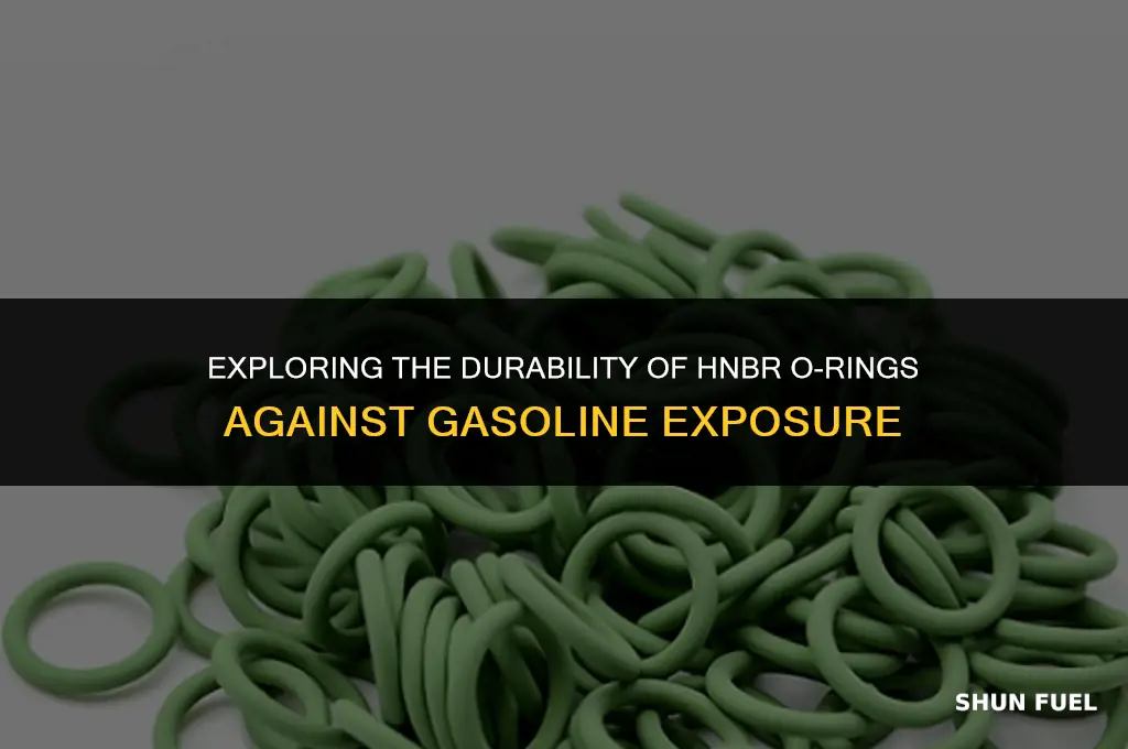 are hnbr o rings gasoline resistant