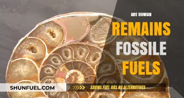 Human Remains: Fossil Fuel's Ancient Origins?