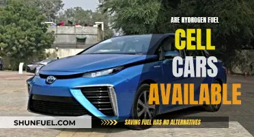 Hydrogen Fuel Cell Cars: Available Now?