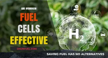 Hydrogen Fuel Cells: Unlocking Clean Energy Potential and Real-World Effectiveness