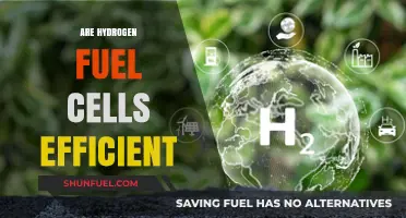 Hydrogen Fuel Cells: Unlocking Efficiency in Clean Energy Solutions