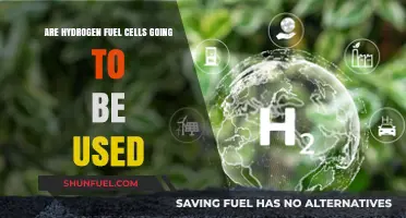 Hydrogen Fuel Cells: The Future of Clean Energy?