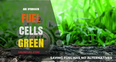 Hydrogen Fuel Cells: A Truly Green Energy Solution or Myth?
