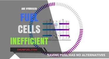 Hydrogen Fuel Cells: Unraveling the Efficiency Debate and Future Potential