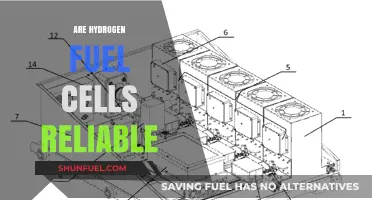 Hydrogen Fuel Cells: Assessing Reliability for Sustainable Energy Solutions