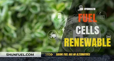 Hydrogen Fuel Cells: A Renewable Energy Solution or Myth?