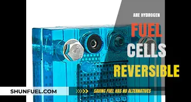 Can Hydrogen Fuel Cells Reverse the Energy Conversion Process?