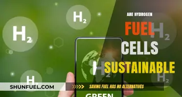 Hydrogen Fuel Cells: A Sustainable Energy Solution or Green Myth?