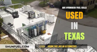 Hydrogen Fuel Cells in Texas: Current Use and Future Potential
