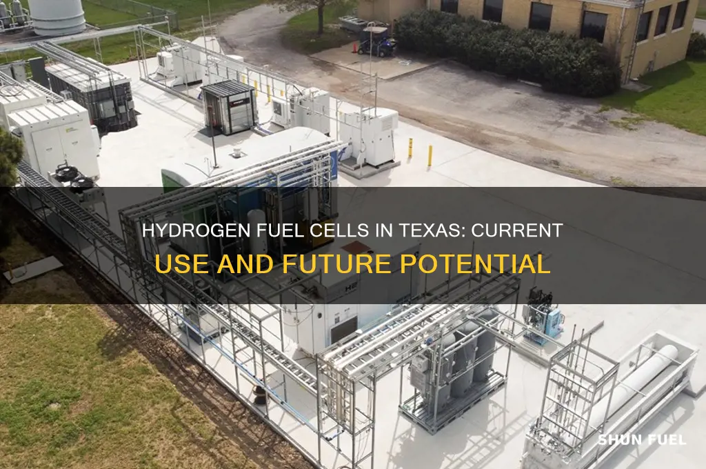 are hydrogen fuel cells used in texas