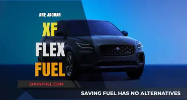 Jaguar XF Flex Fuel Compatibility: Exploring Fuel Options and Performance