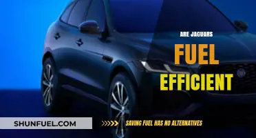 Are Jaguars Fuel Efficient? Exploring the Luxury Car's MPG Performance