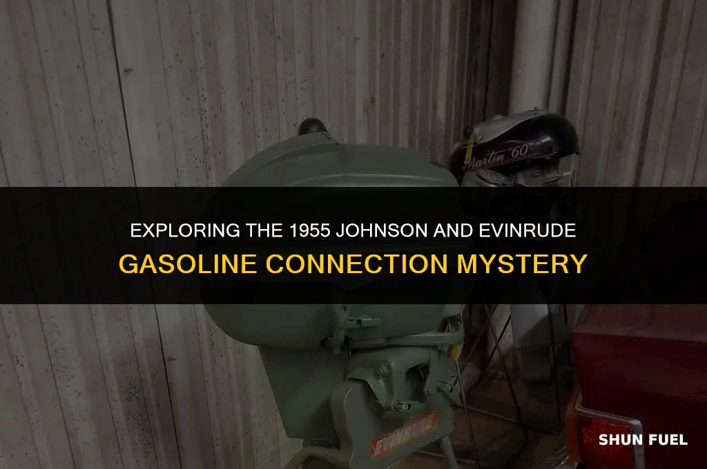 are johnson and evinrude 1955 same gasoline connected